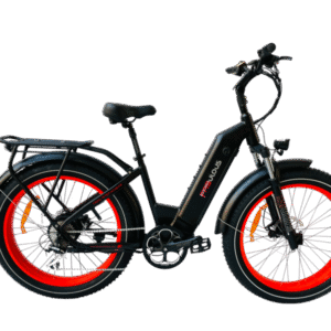 FABULOUS - TRAIL STEP Xtreme - Flash E-Bikes